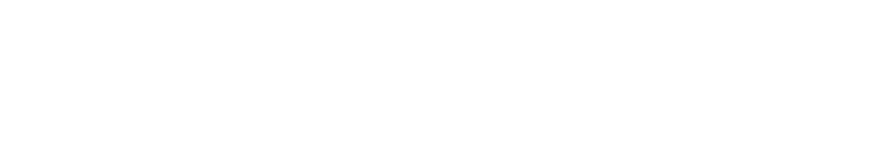 Agent Image - Custom Website Design
